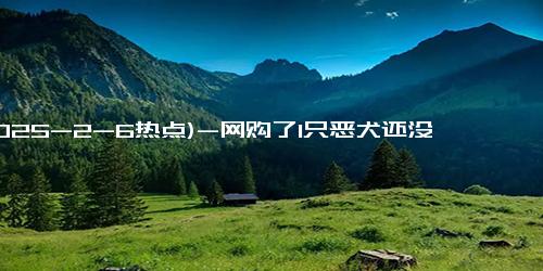 (2025-2-6热点)-网购了1只恶犬还没袜子大 当事人：老公依旧坚持不懈在训练！